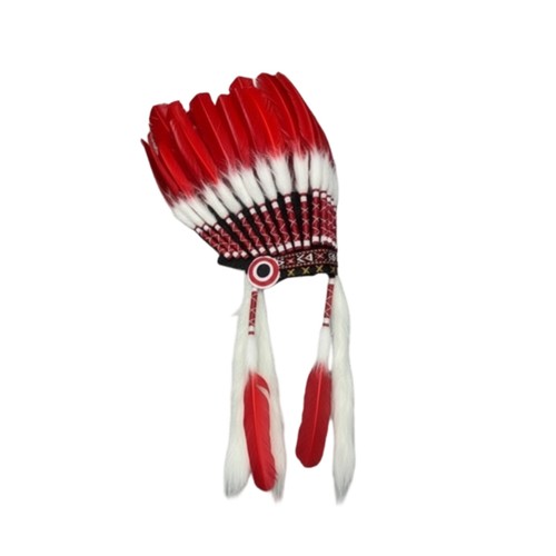 Coiffe plumes déguisement - coiffe,