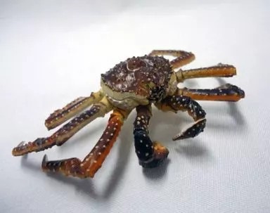Mini figurine king crab - mini,