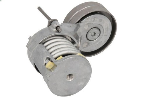 Tensioner pulley ribbed - tensioner, pulley,
