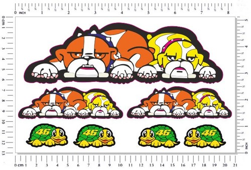 Valentino rossi chien - rossi, tortue