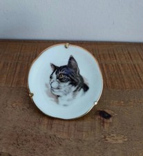 Petite Assiette Décorative Chat Tigré Et Blanc en Porcelaine De Limoges - Rare