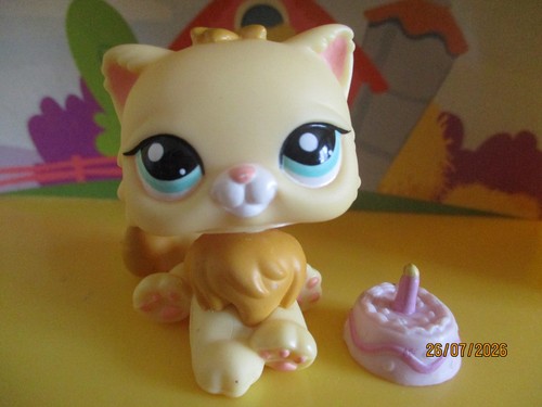 Petshop chat persan 2063 - chat,