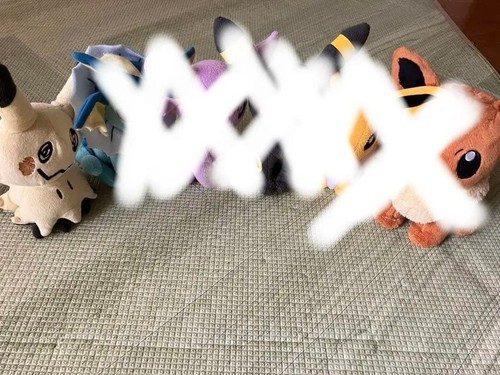 Lot peluches pokemon - peluches, evoli