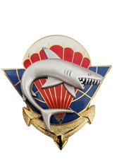 TDM PARACHUTISTES DU 2° RPIMa LA 1° COMPAGNIE (REQUIN ARGENTE MAT) Y. DELSART