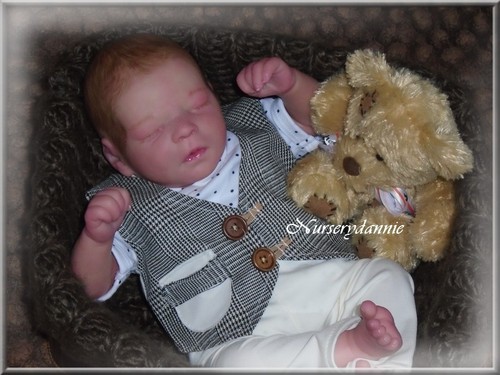 Adorable bebe reborn darren - ,