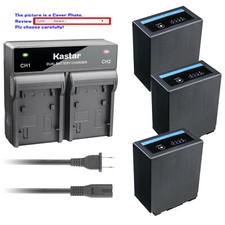 Kastar Battery Dual Fast
