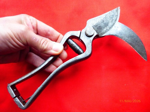 Secateur viticulteur - secateur,