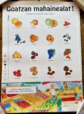 AFFICHE GOATZAN MAHAINEALAT GWENOLE LE DORS BASQUE