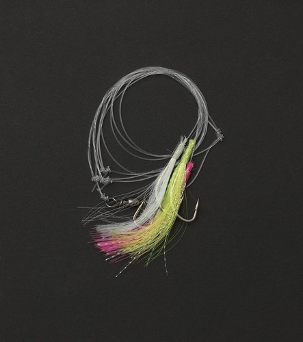 Ron thompson sea rig - ron,