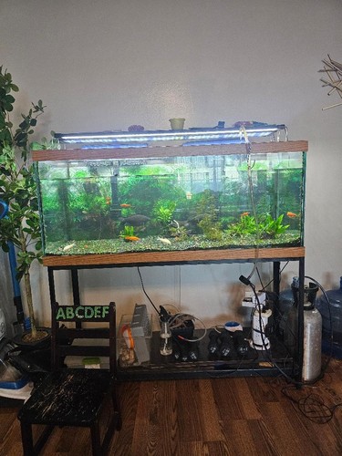 Gallon aquarium metal - aquarium,,
