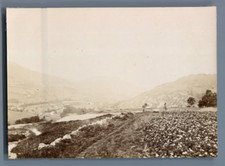 France, Vallée de la Moselle