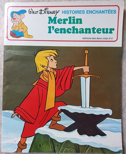 Disney histoires enchantées - histoires,