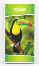 Carte Cartatoto - Toucan
