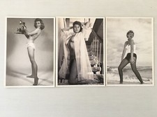 Lot  3  Cartes Postales