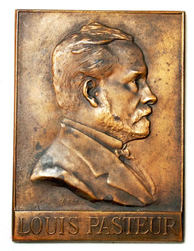 Médaille plaque louis - (fr1),