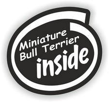 Miniature Bull Terrier