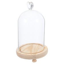 Cloche en verre avec socle