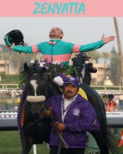 Photos of ZENYATTA  4 headshots to view one Winner circle celebration