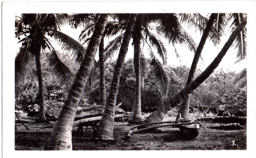 Vintage photograph a - photograph, wa'a