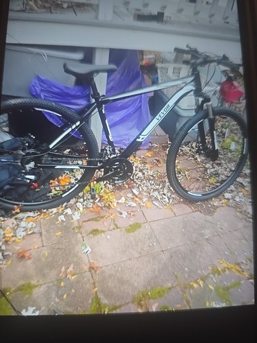 velo fixie homme
