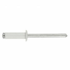 10 rivets pop blanc 4.8 x 12