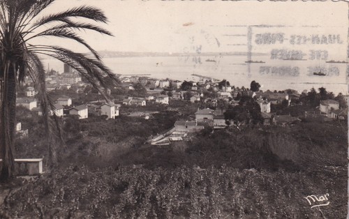 Carte postale postcard - /,