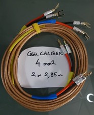 Cables enceintes montés