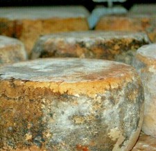 FROMAGE PECORINO AFFINÉ en