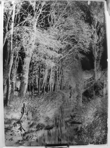 Plaque photo verre 13x18 - photo,