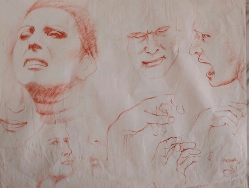 Beau dessin etude sanguine - beau,