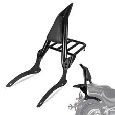 Passenger Backrest W/Luggage