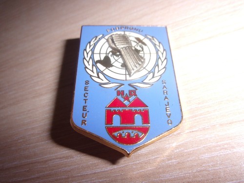 Insigne division légère - insigne, 6°