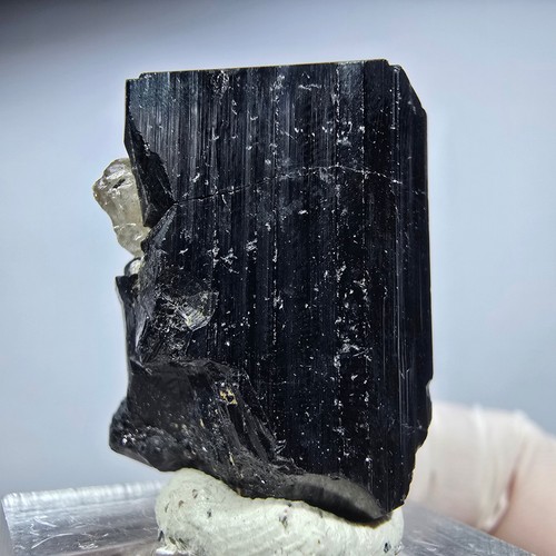 Spécimen rare tourmaline - spécimen, de