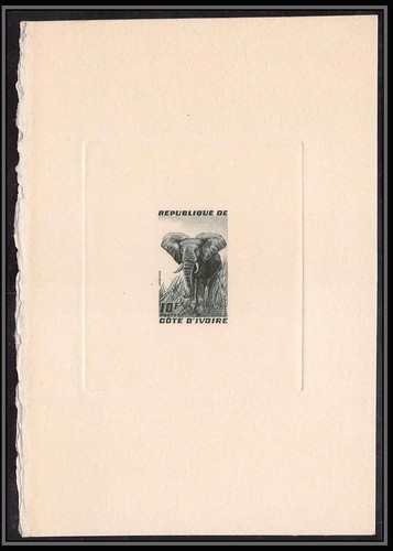 0457 epreuve artiste - 0457, artist