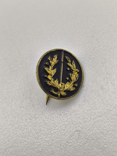 Broche militaire émail bleu - militaire,