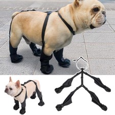 Chaussures Pour Chien Chat