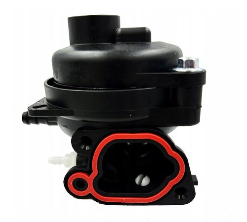 Carburateur pour moteur briggs - carburateur,