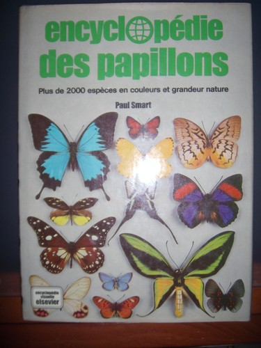 Lépidoptères encyclopédie - lépidoptères:,