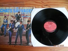 LES CHATS SAUVAGES  77