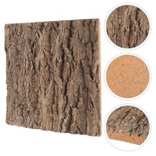 Reptile Cork Terrarium