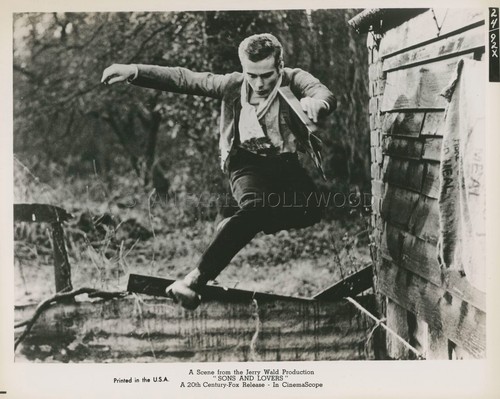 Dean stockwell sons and lovers - stockwell,