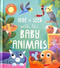 Cache-Cache Avec Les Bébés