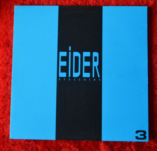Rare eider stellaire - stellaire, 3