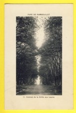 cpa RARE FRANCE 78 - PARC de RAMBOUILLET Avenue de la GRILLE aux LAPINS