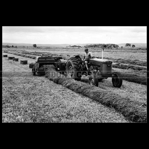 Photo 013750 massey - a.013750, ferguson