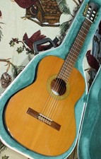 Étui arrière en acajou