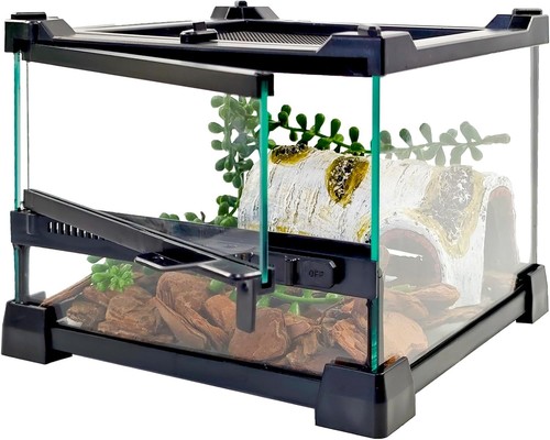 Reptile glass terrarium tank - reptile,
