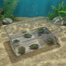 Réservoir D'élevage de