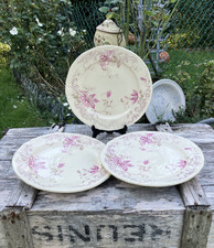 Assiettes plates polychrome -