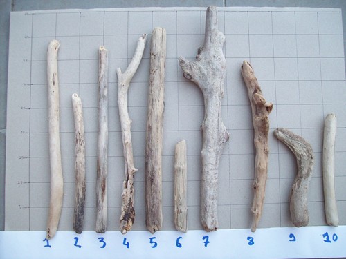 Lot morceaux de bois - lot,